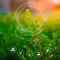 /prodotti/0-categorie-prodotto/decarbonizzazione